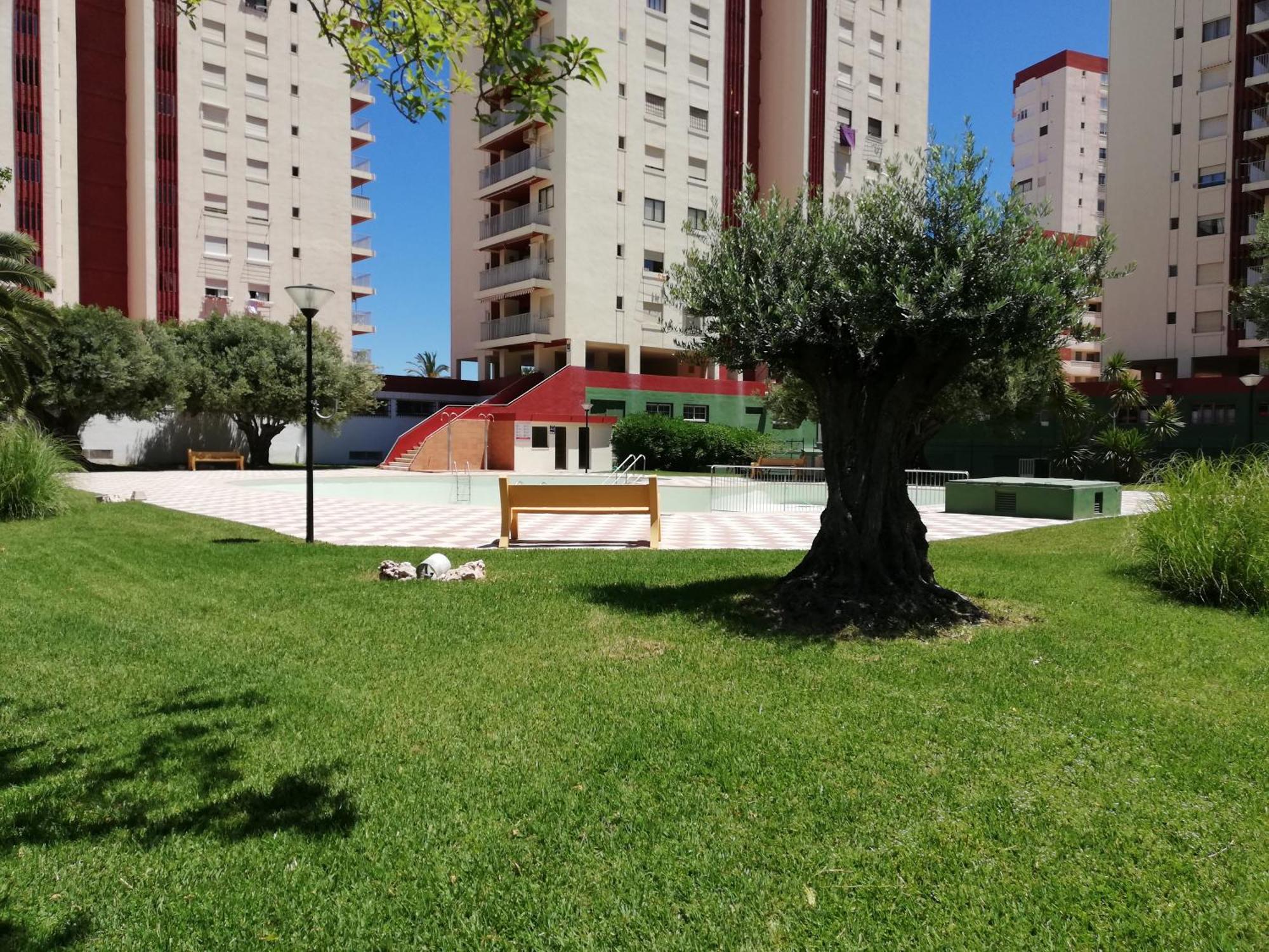 Apartamento Danio Solo Familia Serviplaya Playa de Gandía Exterior foto